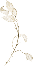 the-one-detail-2-1